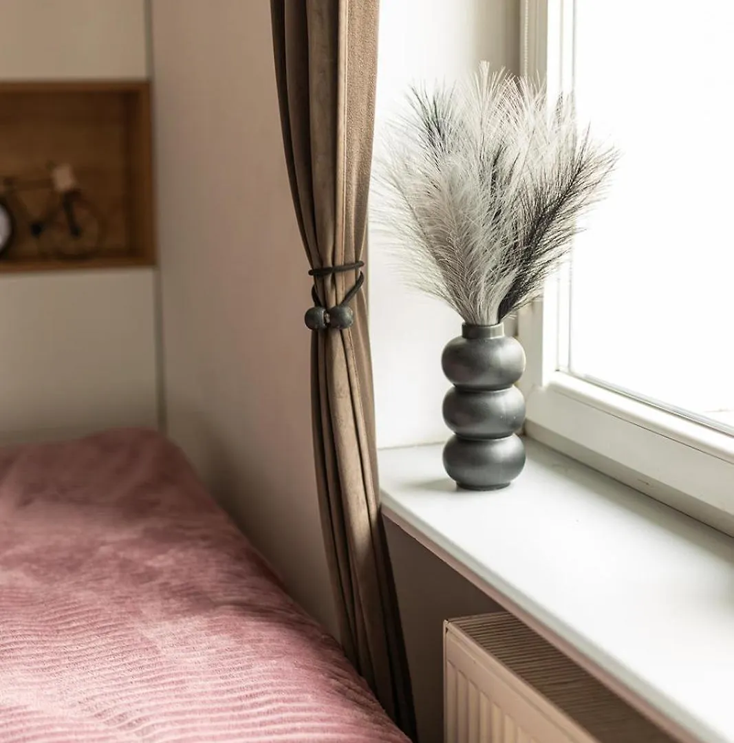 דירות גדנסק Brick Loft Premium